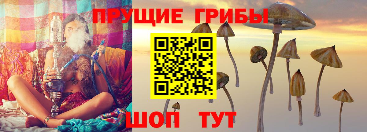 Галлюциногенные грибы прущие грибы Камышлов